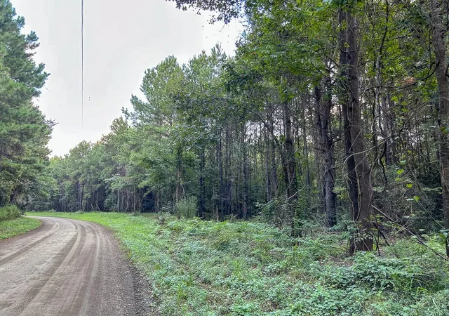 Photo 1 of Land for sale at Tbd Cr 4700, Fred, TX 77616 | MLS# 86632916 | Listing updated on 2026-09-18