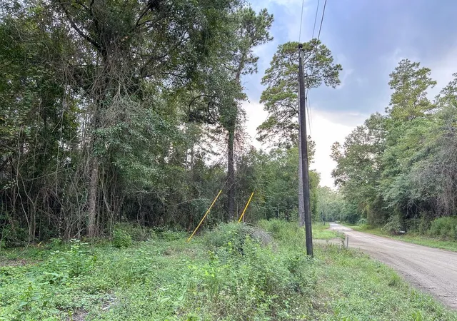 Photo 3 of Land for sale at Tbd Cr 4700, Fred, TX 77616 | MLS# 86632916 | Listing updated on 2026-09-18