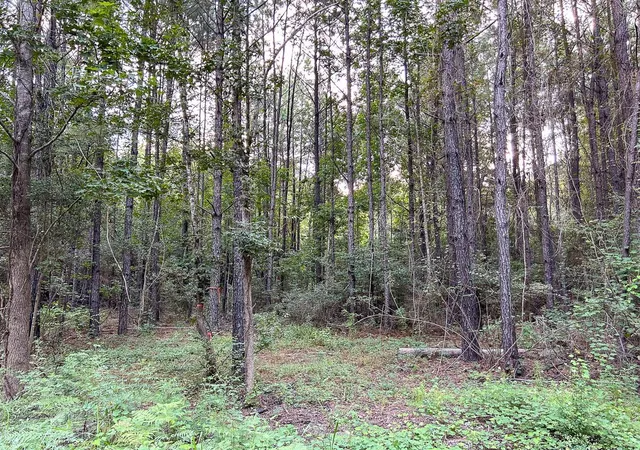 Photo 3 of Land for sale at Tbd Cr 4700, Fred, TX 77616 | MLS# 86632916 | Listing updated on 2026-09-18