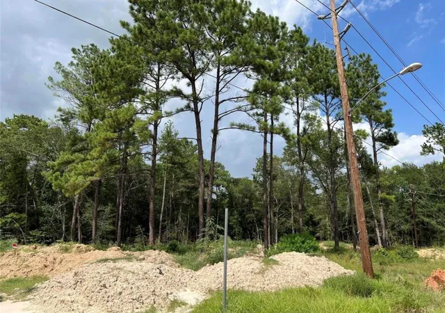 Photo 3 of Land for sale at 18702 Continental Pkwy, Humble, TX 77346 | MLS# 48806004 | Listing updated on 2026-09-02