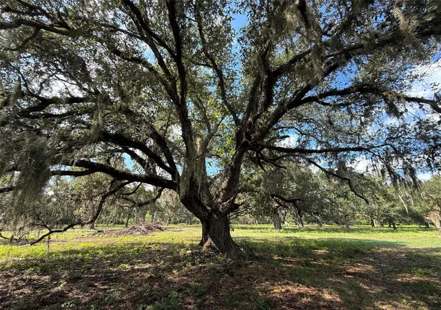 Photo 2 of Land for sale at Lot 2 S F Austin, Freeport, TX 77541 | MLS# 90331175 | Listing updated on 2026-10-07