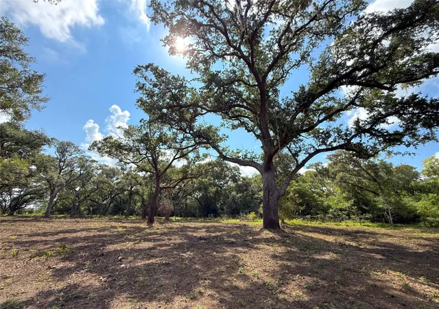 Photo 3 of Land for sale at Lot 2 S F Austin, Freeport, TX 77541 | MLS# 90331175 | Listing updated on 2026-10-07