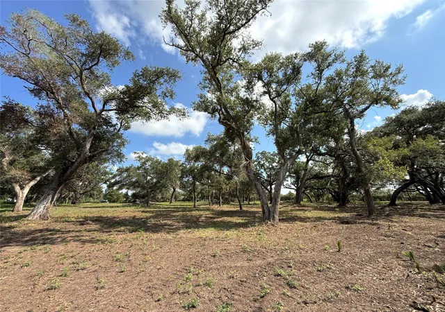Photo 3 of Land for sale at Lot 2 S F Austin, Freeport, TX 77541 | MLS# 90331175 | Listing updated on 2026-10-07