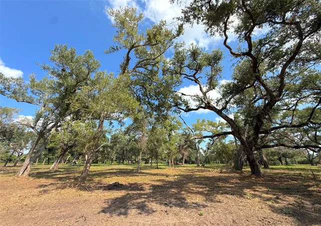 Photo 4 of Land for sale at Lot 2 S F Austin, Freeport, TX 77541 | MLS# 90331175 | Listing updated on 2026-10-07