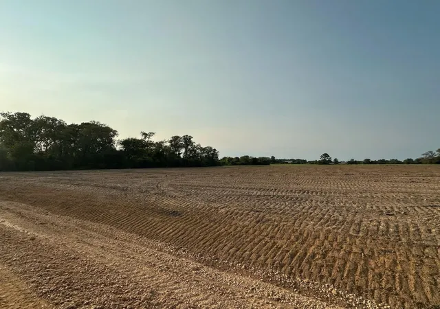 Photo 4 of Land for sale at Tbd Lot 9 County Rd 201, Plantersville, TX 77363 | MLS# 54803464 | Listing updated on 2026-09-11