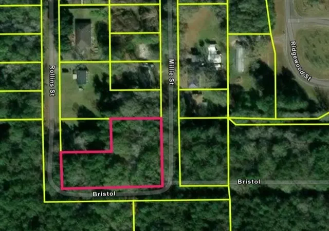 Photo 2 of Land for sale at 0 Rollins Dr, Vidor, TX 77662 | MLS# 29082125 | Listing updated on 2026-09-11