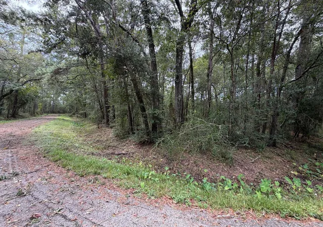 Photo 3 of Land for sale at 0 Rollins Dr, Vidor, TX 77662 | MLS# 29082125 | Listing updated on 2026-09-11