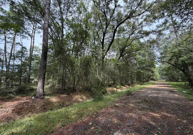 Photo 3 of Land for sale at 0 Rollins Dr, Vidor, TX 77662 | MLS# 29082125 | Listing updated on 2026-09-11