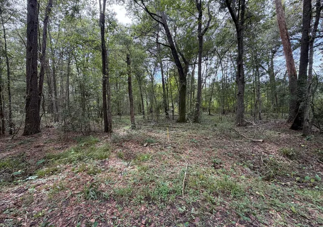 Photo 4 of Land for sale at 0 Rollins Dr, Vidor, TX 77662 | MLS# 29082125 | Listing updated on 2026-09-11