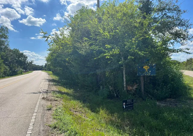 Land for sale at 0 Cr 814 Rd, Brazoria, TX 77422 | MLS# 88504713