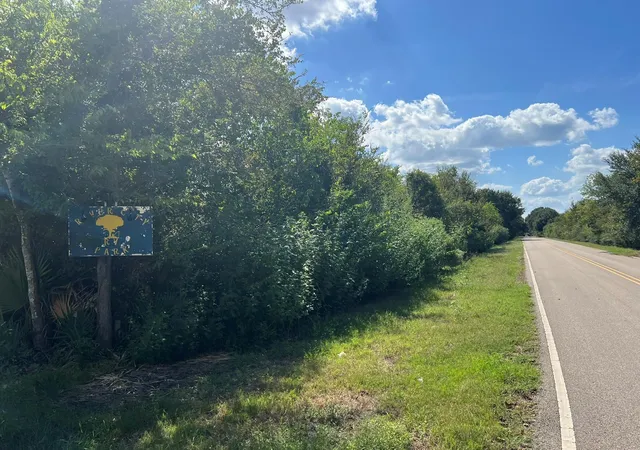 Photo 3 of Land for sale at 0 Cr 814 Rd, Brazoria, TX 77422 | MLS# 88504713 | Listing updated on 2026-09-19