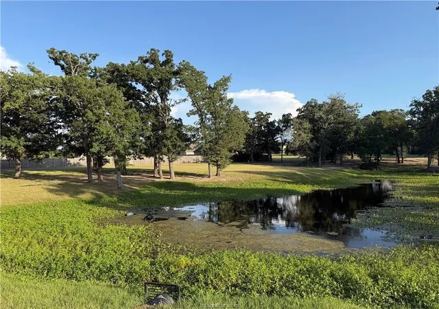 Land for sale at 9901 Hunters Run, College Station, TX 77845 | MLS# 19664876