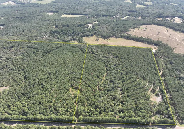 Photo 1 of Land for sale at T 7 Fm 256, Woodville, TX 75979 | MLS# 33255985 | Listing updated on 2026-08-31