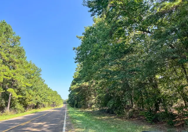 Photo 3 of Land for sale at T 7 Fm 256, Woodville, TX 75979 | MLS# 33255985 | Listing updated on 2026-08-31