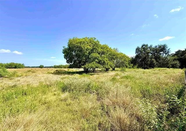 Photo 3 of Land for sale at Tbd Mcgee, Beaumont, TX 77705 | MLS# 39653845 | Listing updated on 2026-09-02