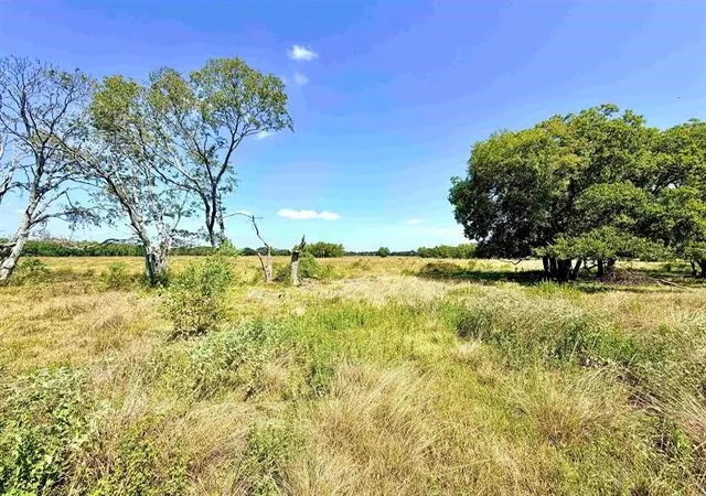 Photo 3 of Land for sale at Tbd Mcgee, Beaumont, TX 77705 | MLS# 39653845 | Listing updated on 2026-09-02