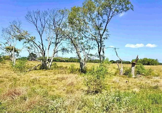 Photo 4 of Land for sale at Tbd Mcgee, Beaumont, TX 77705 | MLS# 39653845 | Listing updated on 2026-09-02