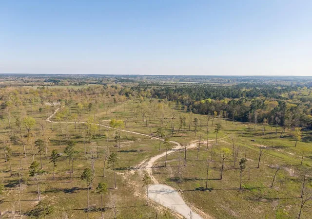 Photo 2 of Land for sale at Lot 6 Johnson Dr, Livingston, TX 77351 | MLS# 73204641 | Listing updated on 2026-09-14