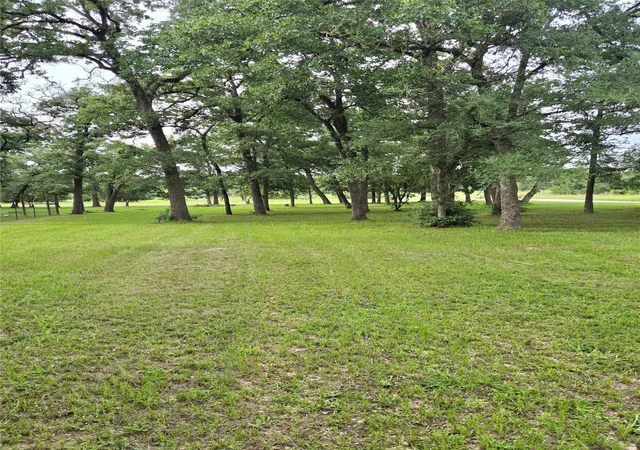 Photo 3 of Land for sale at 1343 Rocky Ln, Bedias, TX 77831 | MLS# 82625756 | Listing updated on 2026-09-08