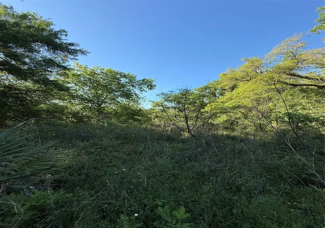 Photo 3 of Land for sale at 25 Acres Ramblewood Rd, Bay City, TX 77414 | MLS# 58145964 | Listing updated on 2026-09-10