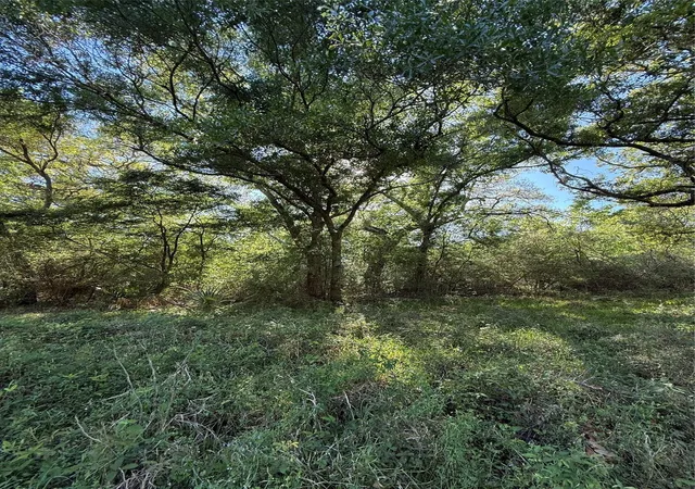 Photo 4 of Land for sale at 25 Acres Ramblewood Rd, Bay City, TX 77414 | MLS# 58145964 | Listing updated on 2026-09-10