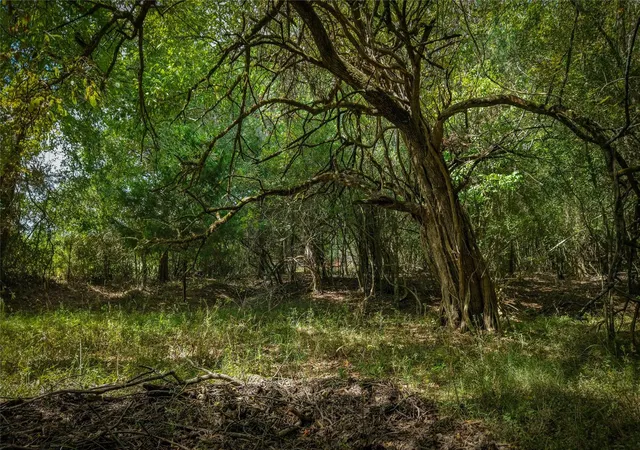 Photo 2 of Land for sale at Tract 1 Tbd Mensik Rd, Bryan, TX 77808 | MLS# 32937435 | Listing updated on 2026-09-03