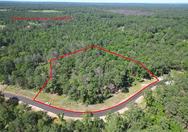 Photo 3 of Land for sale at Lot 22 Prairie 1313, Centerville, TX 75833 | MLS# 56554682 | Listing updated on 2026-09-14