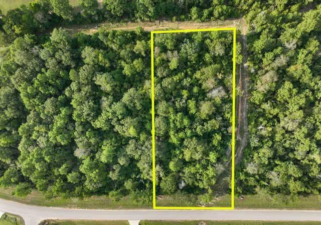 Photo 2 of Land for sale at 15824 Republic Ranch Rd N, Willis, TX 77378 | MLS# 59094659 | Listing updated on 2026-09-04