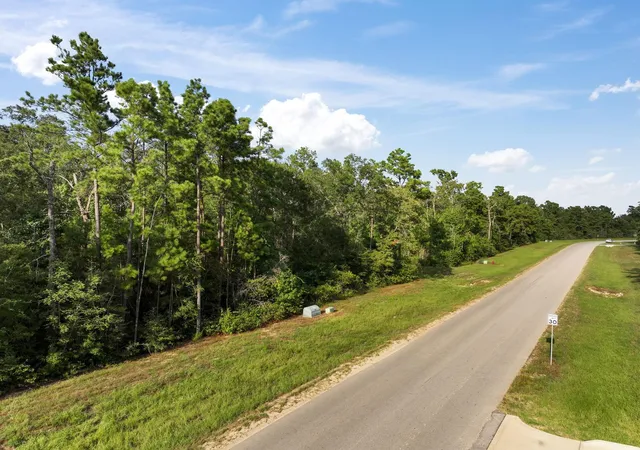 Photo 3 of Land for sale at 15824 Republic Ranch Rd N, Willis, TX 77378 | MLS# 59094659 | Listing updated on 2026-09-04