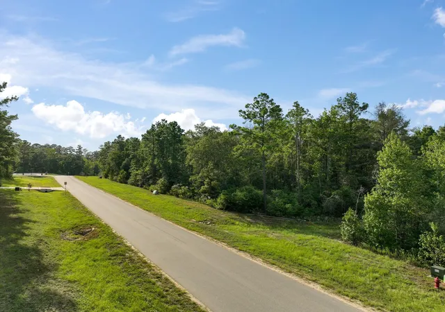 Photo 4 of Land for sale at 15824 Republic Ranch Rd N, Willis, TX 77378 | MLS# 59094659 | Listing updated on 2026-09-04
