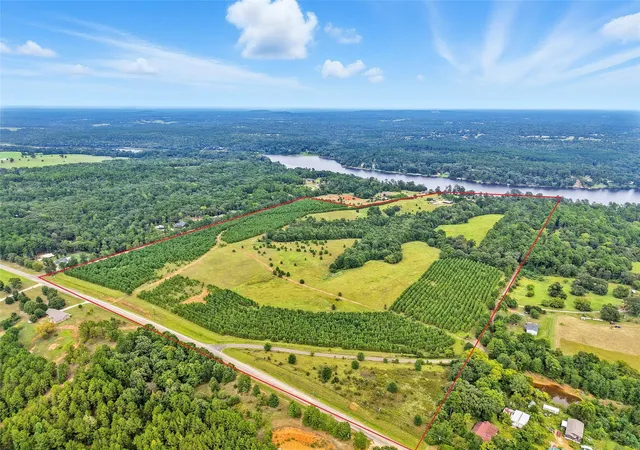 Photo 50 of Land for sale at 1803 Pine Hills Rd, Gladewater, TX 75647 | MLS# 42970395 | Listing updated on 2026-09-28