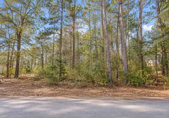 Photo 3 of Land for sale at 17664 Plantation Dr, Waller, TX 77484 | MLS# 36752539 | Listing updated on 2026-09-09