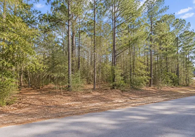 Photo 4 of Land for sale at 17664 Plantation Dr, Waller, TX 77484 | MLS# 36752539 | Listing updated on 2026-09-09