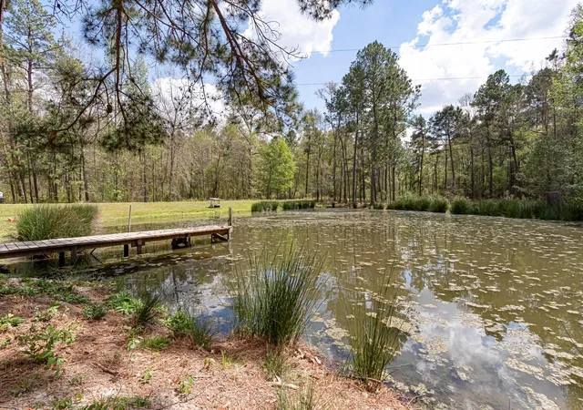 Photo 3 of Single family home for sale at 188 Pullin Rd, Corrigan, TX 75939 | MLS# 6242893 | Listing updated on 2026-09-19