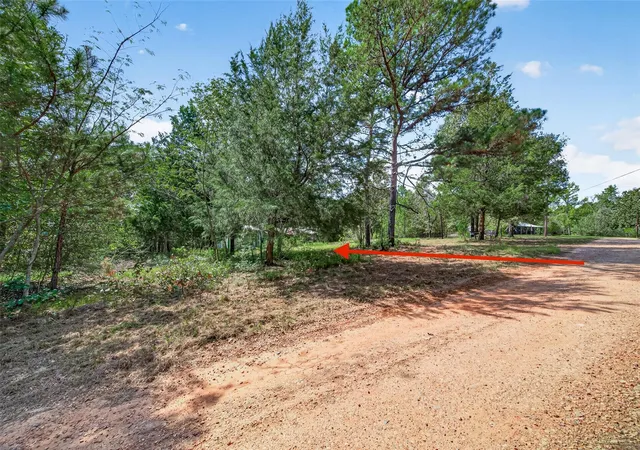 Photo 3 of Land for sale at 1336 Darrel Hall Dr, Trinity, TX 75862 | MLS# 50871941 | Listing updated on 2026-09-22