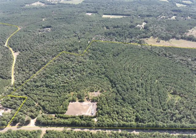 Photo 1 of Land for sale at T 5 Fm 256, Woodville, TX 75979 | MLS# 56559762 | Listing updated on 2026-08-31