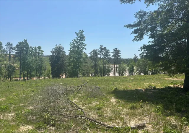 Photo 1 of Land for sale at 142 Dove Hl Cir, Livingston, TX 77351 | MLS# 85153364 | Listing updated on 2026-09-14