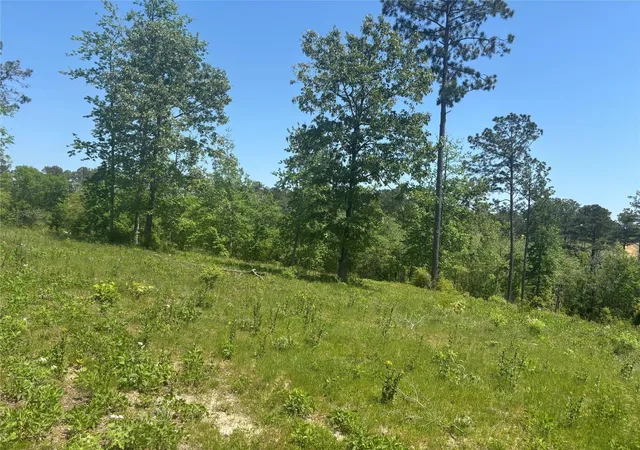 Photo 2 of Land for sale at 142 Dove Hl Cir, Livingston, TX 77351 | MLS# 85153364 | Listing updated on 2026-09-14