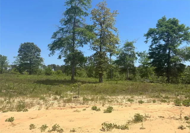 Photo 3 of Land for sale at 142 Dove Hl Cir, Livingston, TX 77351 | MLS# 85153364 | Listing updated on 2026-09-14