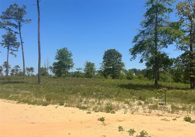 Photo 3 of Land for sale at 142 Dove Hl Cir, Livingston, TX 77351 | MLS# 85153364 | Listing updated on 2026-09-14