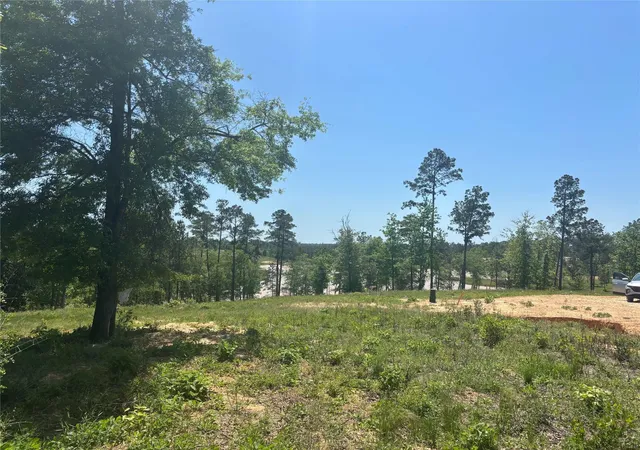 Photo 4 of Land for sale at 142 Dove Hl Cir, Livingston, TX 77351 | MLS# 85153364 | Listing updated on 2026-09-14