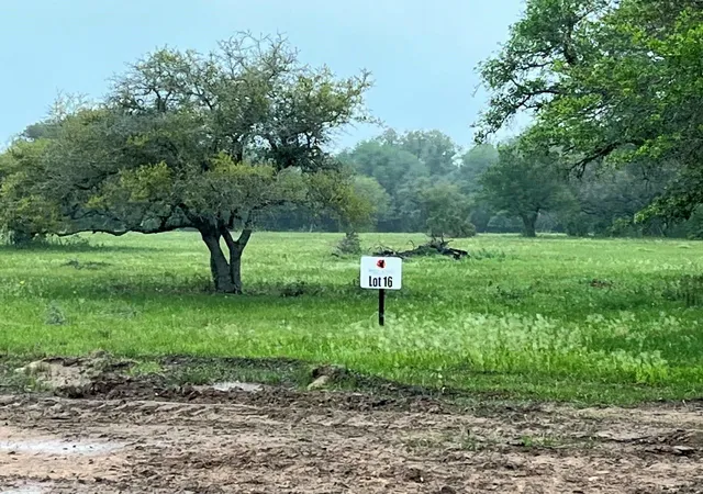 Photo 1 of Land for sale at 0 Pintail Ln, Columbus, TX 78934 | MLS# 71612319 | Listing updated on 2026-09-20