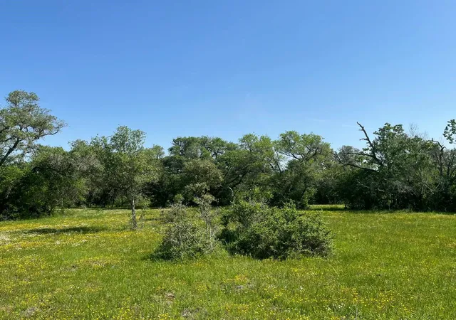 Photo 3 of Land for sale at 0 Pintail Ln, Columbus, TX 78934 | MLS# 71612319 | Listing updated on 2026-09-20
