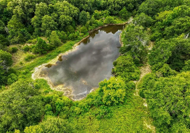 Photo 2 of Land for sale at 1722 Anderson County Rd 432, Palestine, TX 75803 | MLS# 34815791 | Listing updated on 2026-09-03