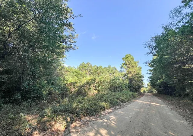 Photo 2 of Land for sale at T 4 Cr 2150, Woodville, TX 75979 | MLS# 82731647 | Listing updated on 2026-08-31