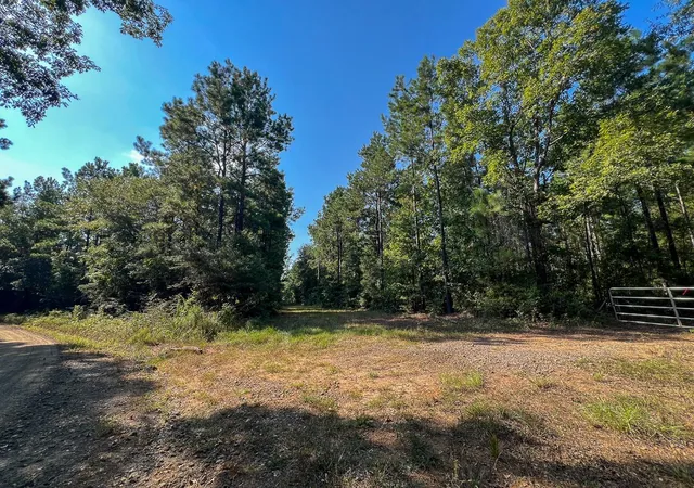 Photo 3 of Land for sale at T 4 Cr 2150, Woodville, TX 75979 | MLS# 82731647 | Listing updated on 2026-08-31