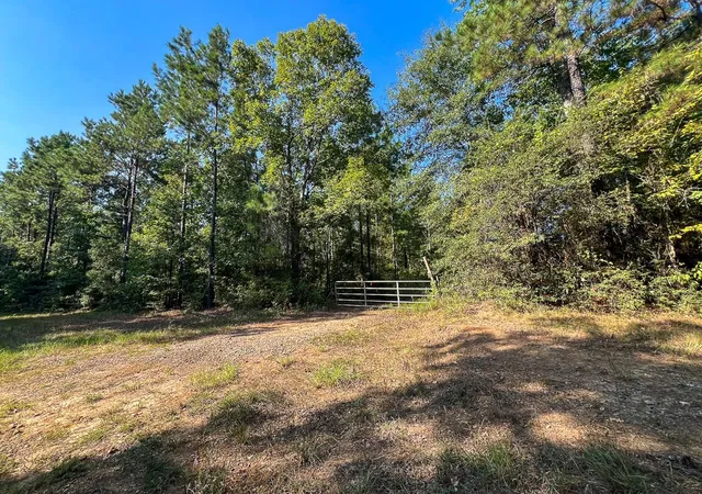 Photo 3 of Land for sale at T-4 Cr 2150, Woodville, TX 75979 | MLS# 82731647 | Listing updated on 2026-08-31
