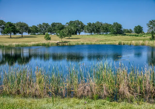 Photo 3 of Land for sale at 9909 Latium Cemetery Rd Tract 3, Burton, TX 77835 | MLS# 30333264 | Listing updated on 2026-09-15