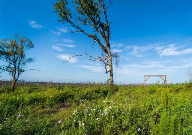 Photo 3 of Sale Pending at 117 County Rd 33, Jasper, TX 75951 | MLS# 10990508 | Listing updated on 2026-09-15