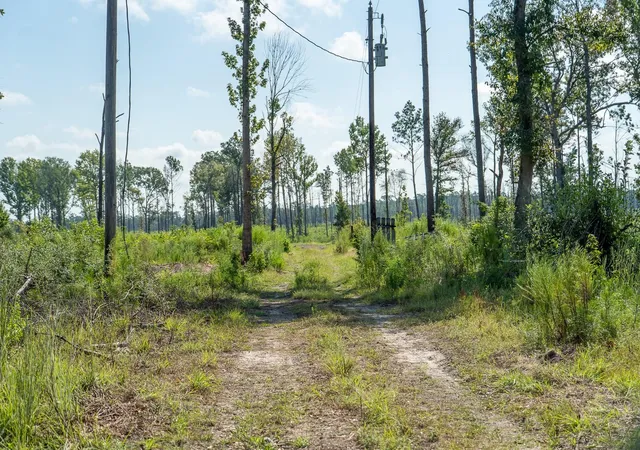 Photo 3 of Sale Pending at 117 County Rd 33, Jasper, TX 75951 | MLS# 10990508 | Listing updated on 2026-09-15